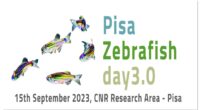   Terza edizione del “Pisa Zebrafish Day” presso l’Area della Ricerca del CNR Il prossimo […]